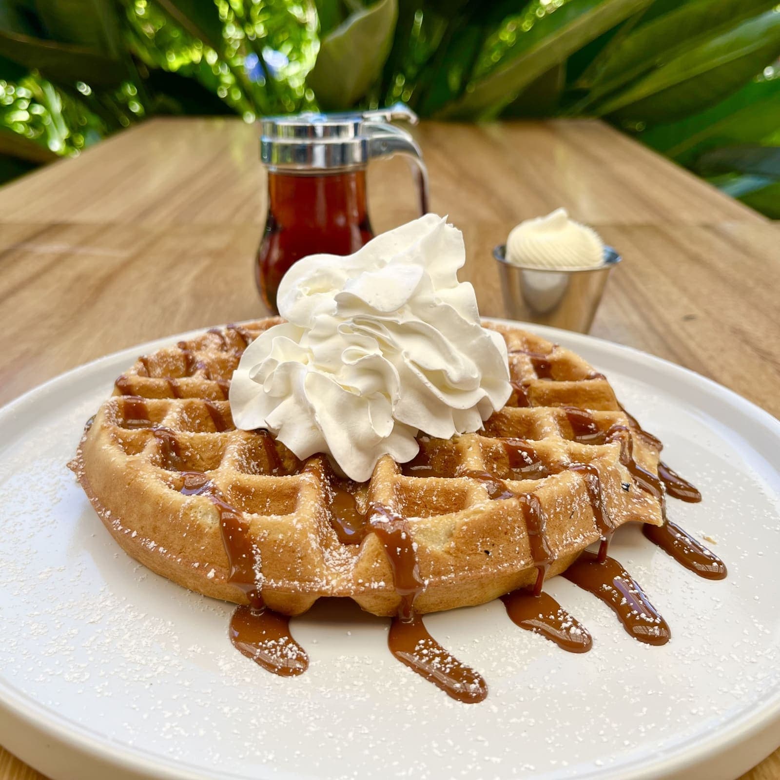 Belgian waffle at iJava